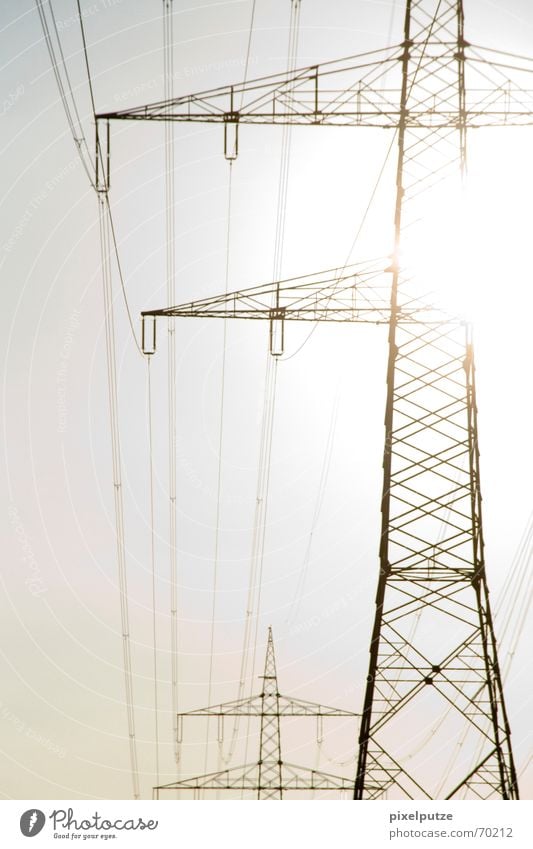 ui gug ma, auf dem Baum wächst Strom! #2 Sonnenstrahlen Leitung Kabel Elektrizität Strommast Stromtransport Energiewirtschaft Gegenlicht Erneuerbare Energie