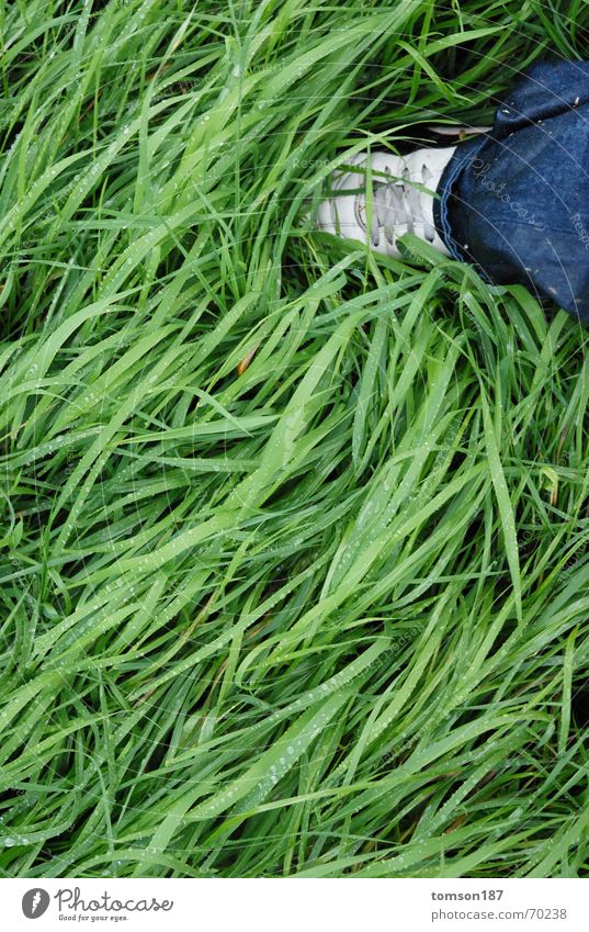 wet shoes Wiese Schuhe Wellen nass grün Regen rasenmähen