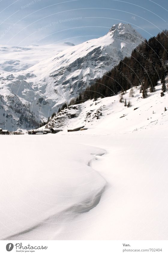 WinterWonderland Natur Landschaft Himmel Schönes Wetter Schnee Baum Berge u. Gebirge Schneebedeckte Gipfel wandern kalt weiß Dolomiten Farbfoto mehrfarbig