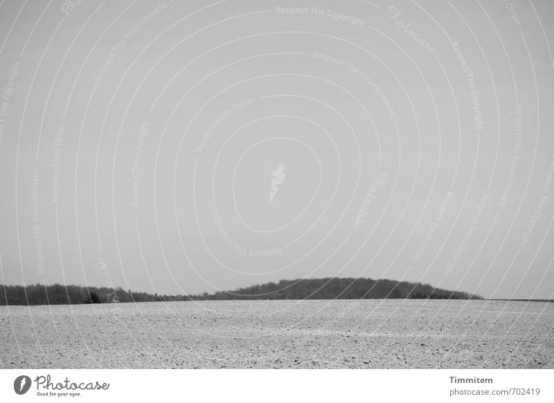 Acker Landwirtschaft Forstwirtschaft Umwelt Natur Landschaft Erde Himmel Frühling Unwetter Wald Blick ästhetisch natürlich blau grau schwarz Gefühle Feld Stein