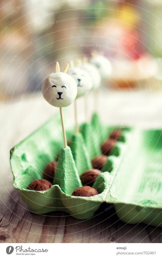 bunny cake pops Kuchen Süßwaren Ernährung Picknick Slowfood Fingerfood lecker süß Ostern Osterhase Osterei Farbfoto Innenaufnahme Nahaufnahme Menschenleer Tag