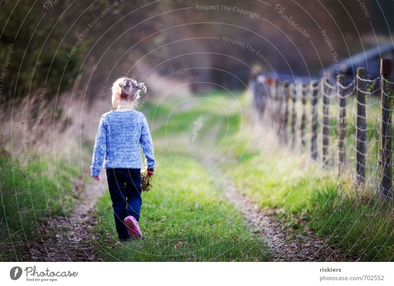 zeit. zum träumen Mensch feminin Kind Mädchen Kindheit Leben 1 3-8 Jahre Umwelt Natur Frühling Herbst Schönes Wetter Wiese Wald entdecken Erholung gehen Blick