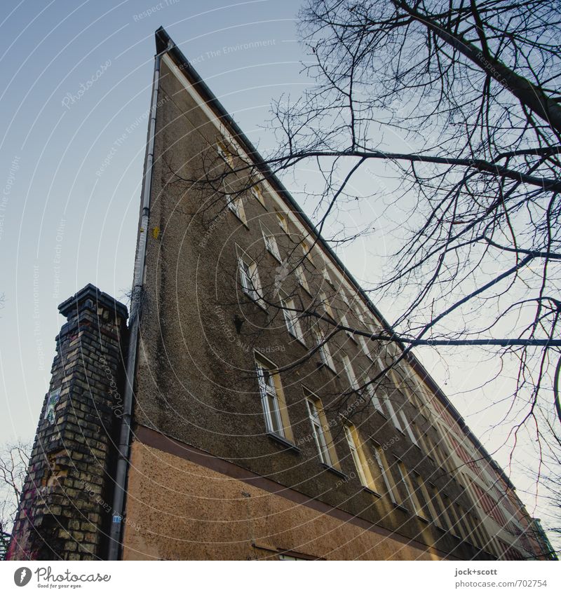 Nur eine triste Fassade Himmel Winter Ast Berlin-Mitte Stadthaus retro grau Perspektive Surrealismus Symmetrie Verzerrung Dreieck Mauerreste Regenrohr