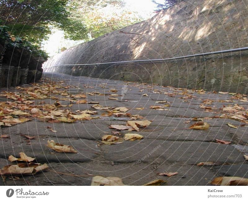 Weg im Herbst Kopfsteinpflaster Wege & Pfade