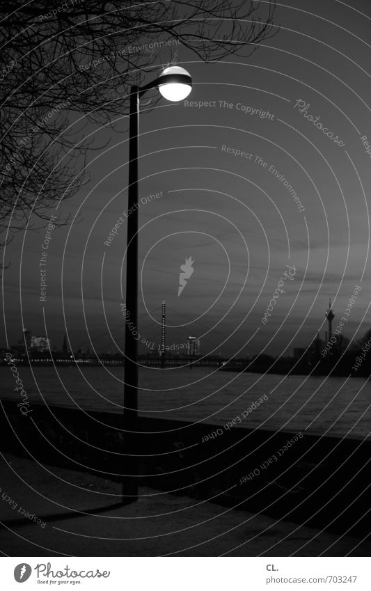 D Städtereise Umwelt Natur Landschaft Himmel Baum Fluss Stadt Rheinturm Wege & Pfade Brücke dunkel ruhig Einsamkeit Düsseldorf Rheinpromenade Straßenbeleuchtung