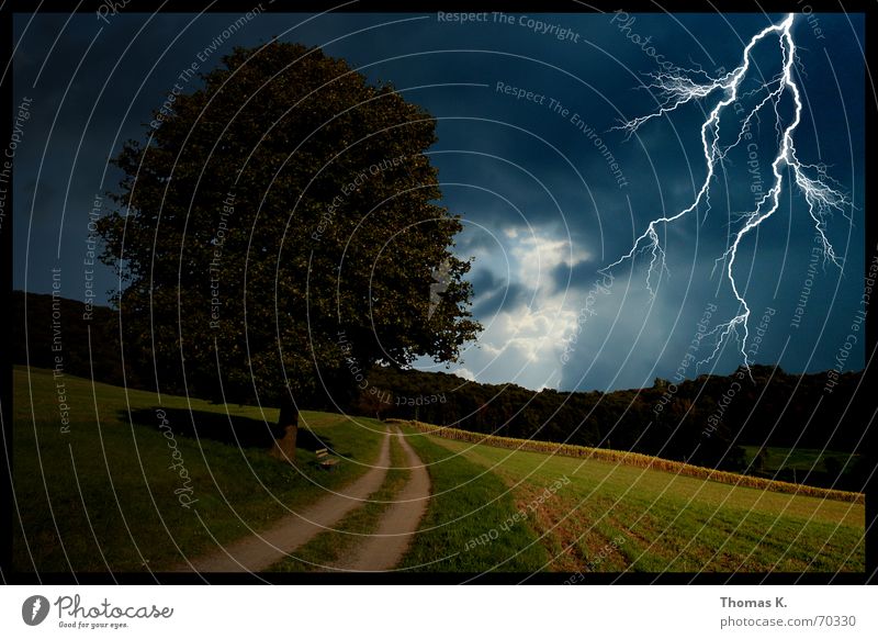 Donnerwetter Blitze Baum Feld Waldrand Wolken Wiese Donnern Blitzlichtaufnahme untergehen Stimmung dunkel Fußweg Wäldchen Sturm Orkan Bad Wege & Pfade thomas