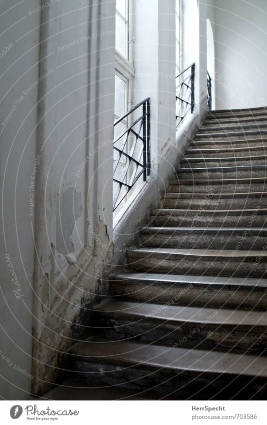 500 | Stufen Wien Österreich Altstadt Haus Bauwerk Gebäude Architektur Mauer Wand Treppe Fenster alt ästhetisch grau weiß Stadthaus Treppenhaus Treppengeländer