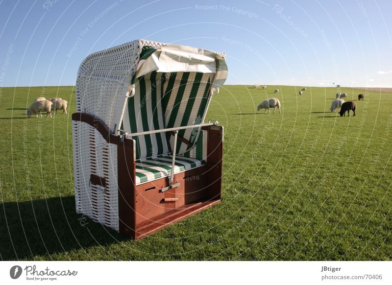 Relax Strandkorb Streifen Holz Ferien & Urlaub & Reisen ruhig Weidengeflecht Außenaufnahme Nordsee grüne wiese grasende schafe Blauer Himmel Erholung korbware