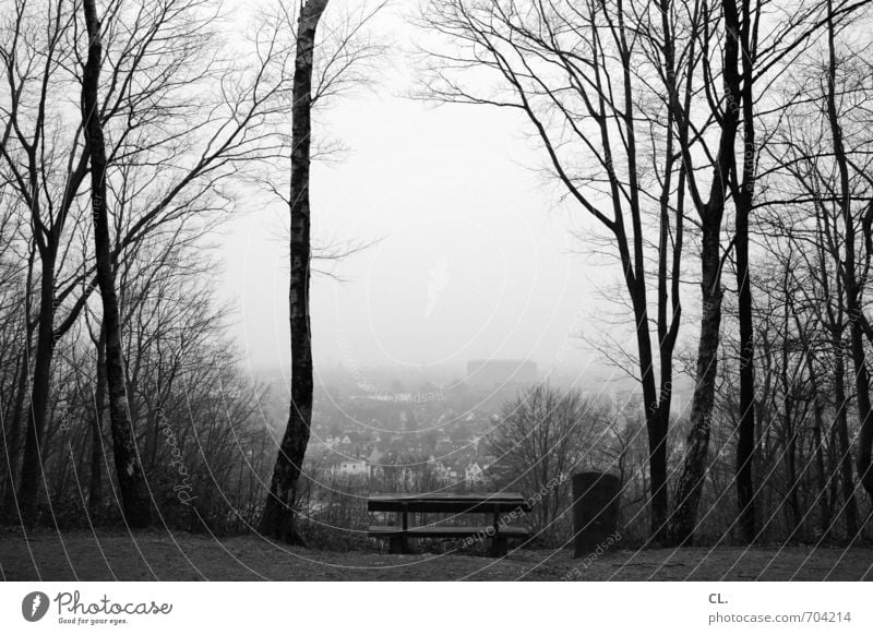 schöne aussicht Umwelt Natur Landschaft Himmel Herbst Winter Baum Wald trist ruhig Traurigkeit Sehnsucht Fernweh Einsamkeit Hoffnung Horizont Perspektive