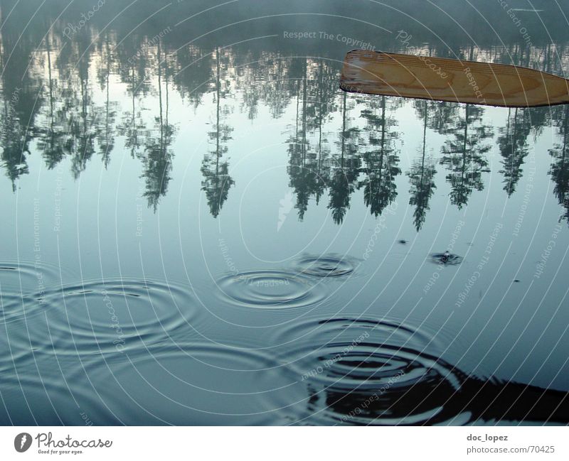 Wasserspiegelkreise ruhig Wassertropfen Baum Küste See sanft Finnland Paddel Wasserkreise Reflexion & Spiegelung Im Wasser treiben Wasseroberfläche