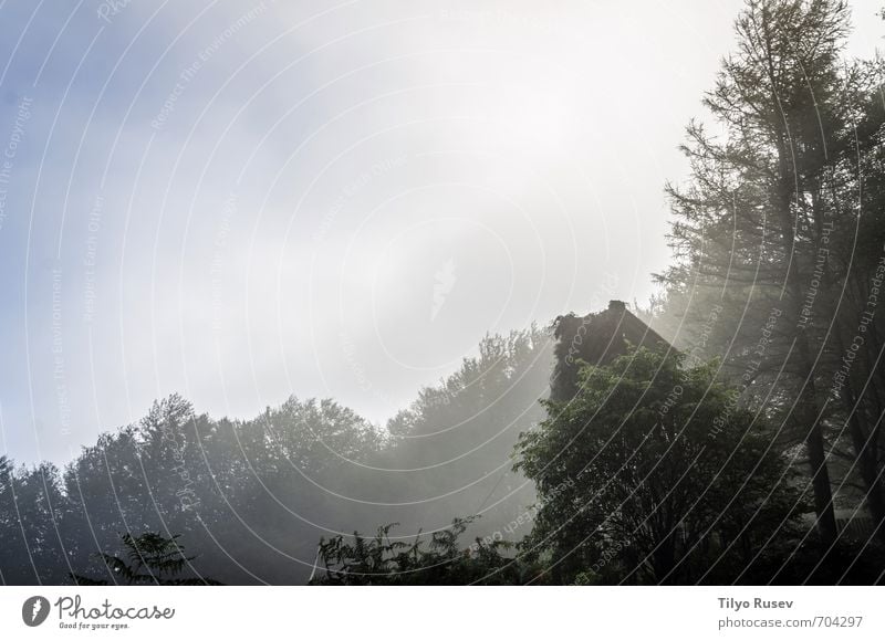 Nebel über dem Wald schön Sonne Berge u. Gebirge Natur Baum Platz natürlich braun grün Farbe Frieden Holz im Inneren Spanien Europa Europäer friedlich