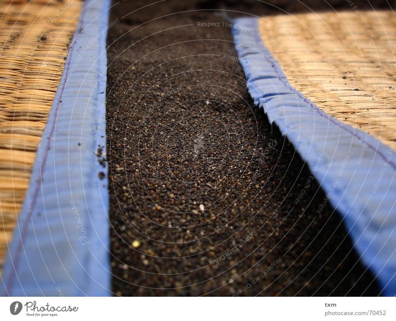 black sand on the beach... Strand Sandstrand Strohmatte Strandmatte Handtuch Meer schwarzer sand teneriffa nord vulkangestein