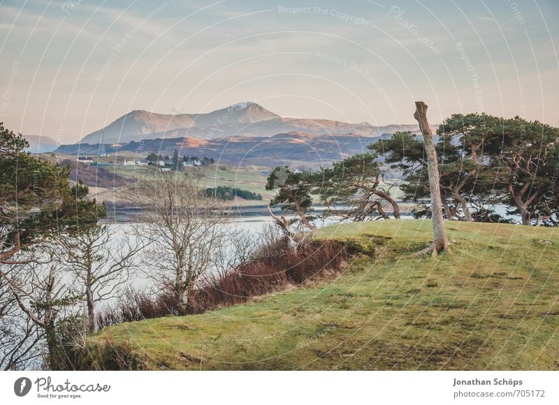 Isle of Skye VII Umwelt Natur Landschaft Wasser Himmel Schönes Wetter Hügel Berge u. Gebirge Gipfel Küste Bucht Insel ästhetisch Idylle Baum Wiese Aussicht