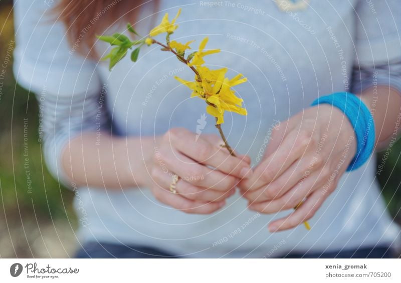 Goldröschen Wellness Leben Freizeit & Hobby Ferien & Urlaub & Reisen Tourismus Ausflug Garten Mensch feminin Junge Frau Jugendliche Erwachsene Hand Umwelt Natur