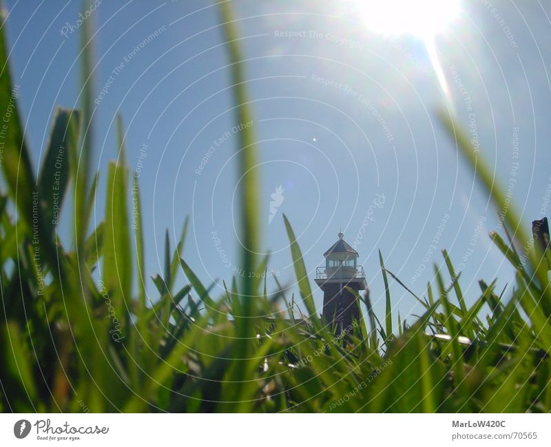 Down Under Gras Blende Leuchtturm Froschperspektive Rasen Himmel Sonne blau