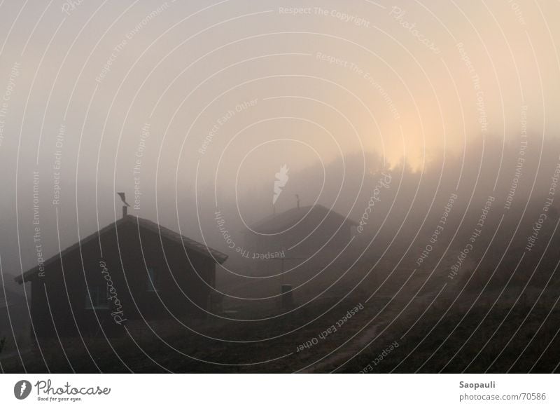 Gleich kommt sie raus ... Nebel feucht kalt Sonnenaufgang Holz Nationalpark Afrika wandern braun ruhig Außenaufnahme Hütte Berge u. Gebirge malolotja