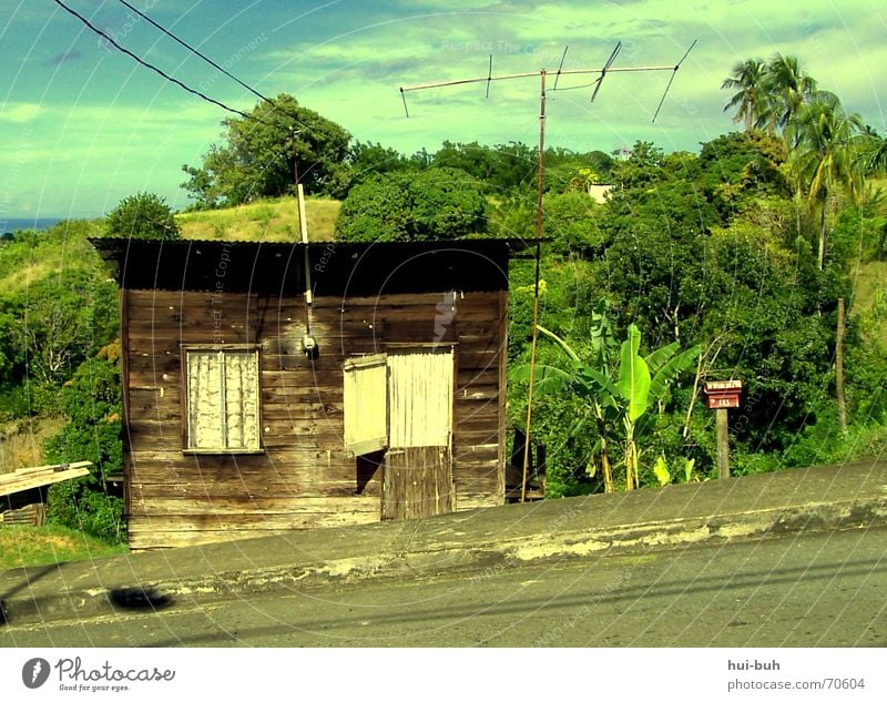 haus am hang Haus Berghang Hügel Urwald Tobago Elektrizität kaputt Bruchbude Dach Fenster Asphalt grün braun Holz Eisen Backstein Meer heiß Mittag Schwüle