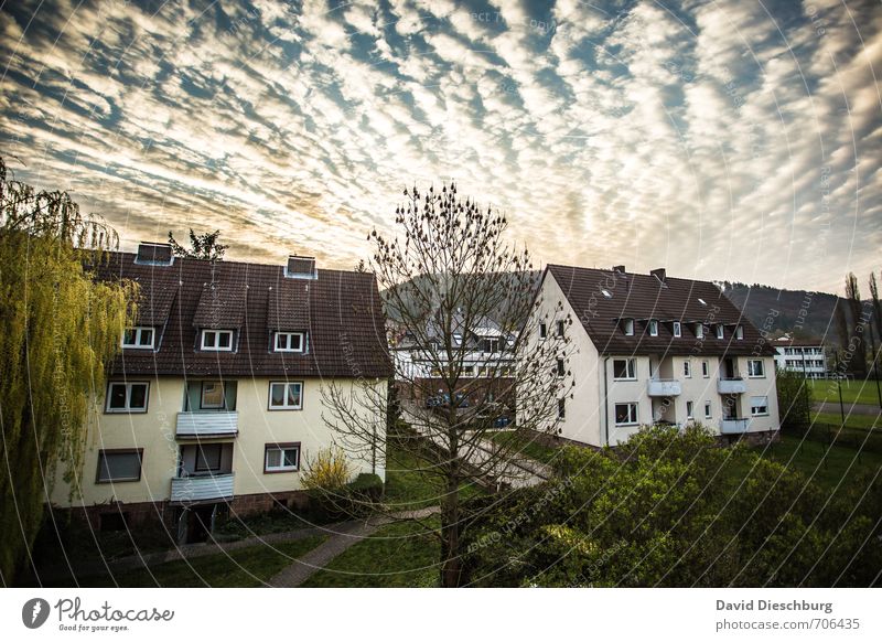 Morgenidylle Himmel Wolken Horizont Frühling Sommer Schönes Wetter Pflanze Dorf Stadt Stadtrand bevölkert Haus Einfamilienhaus Bauwerk Gebäude Fassade Garten