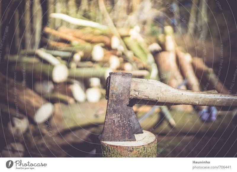 Axt im Wald Handwerker Waldarbeiter Natur Landwirtschaft Forstwirtschaft Arbeitspause Umwelt Landschaft Sonne Frühling Schönes Wetter Baum Bayern Holz Metall