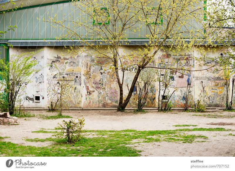 HALLE/S.-TOUR | sportHALLE Frühling Baum Halle (Saale) Stadt Fassade schön Schule Sporthalle Graffiti Wiese mehrfarbig Farbfoto Außenaufnahme