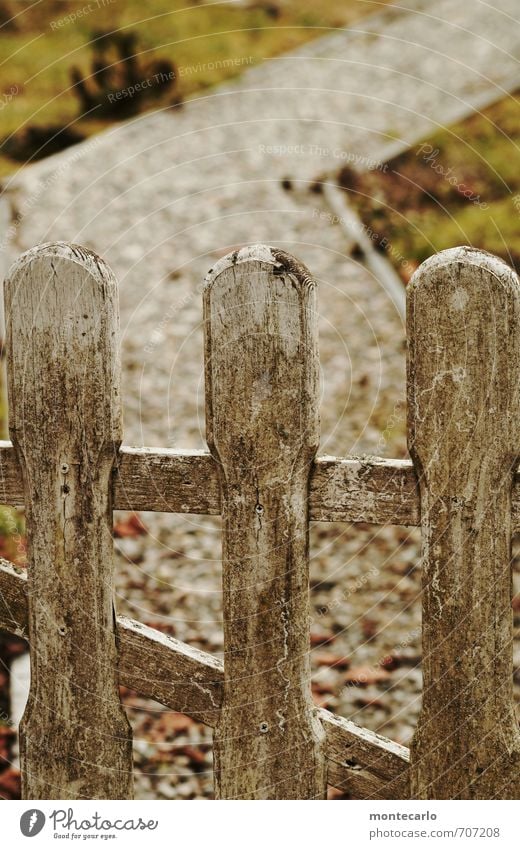 Tor zum Wochenende Umwelt Natur Erde Frühling Schönes Wetter Gras Moos Garten Gartentor Wege & Pfade Stein Holz alt authentisch dreckig einfach einzigartig