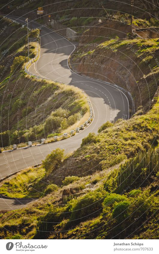 San Andrés / Teneriffa XXXVII Umwelt Natur Landschaft Pflanze ästhetisch Straße Wege & Pfade Schlangenlinie Verkehrswege Kanaren Spanien