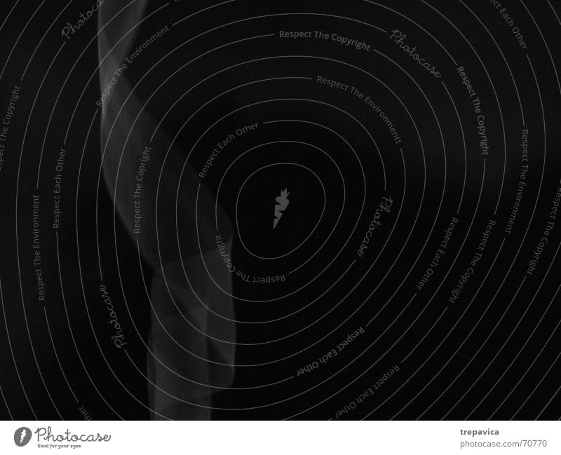band Licht dunkel Streifen Locken Seide Strahlung Zärtlichkeiten Schwarzweißfoto Schnur durchsichtig fallen untergehen verführerisch