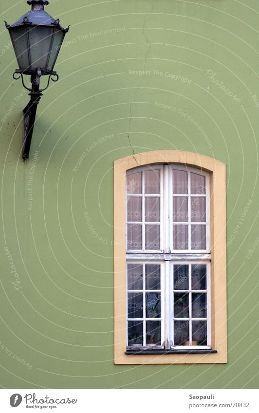 Fenster zum Hof Laterne grün Potsdam Gardine abweisend Kaktus Mauer Riss Außenaufnahme Rahmen schmiedeeisern