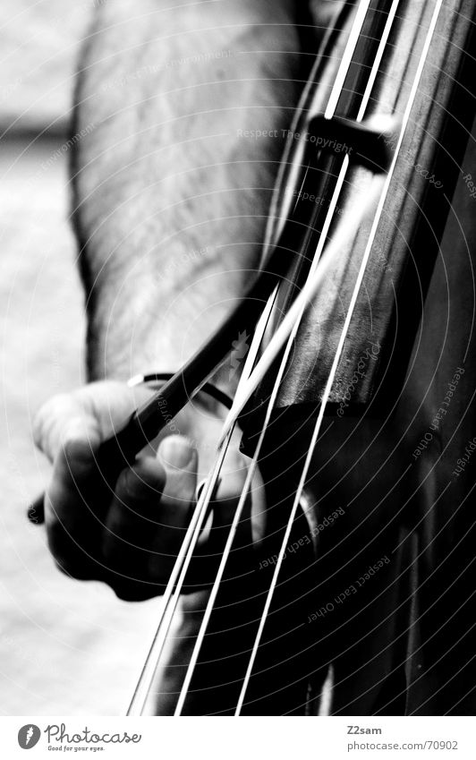 strings jump Saite Musik Mann Hand Cello Spielen Finger Kontrabass Bogen play Schwarzweißfoto street munich