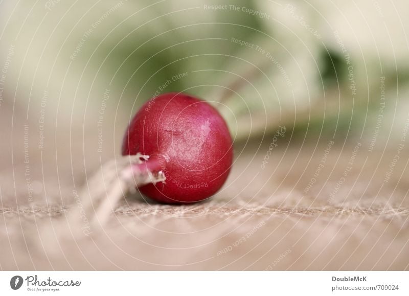 Radieschön Lebensmittel Gemüse Radieschen Ernährung Abendessen Büffet Brunch Picknick Bioprodukte Vegetarische Ernährung Diät liegen frisch Gesundheit lecker