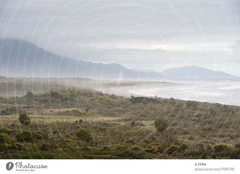 Ain't No Sunshine I Umwelt Natur Landschaft Pflanze Urelemente Erde Luft Wasser Himmel Wolken Gewitterwolken Horizont Sommer schlechtes Wetter Regen Baum Gras