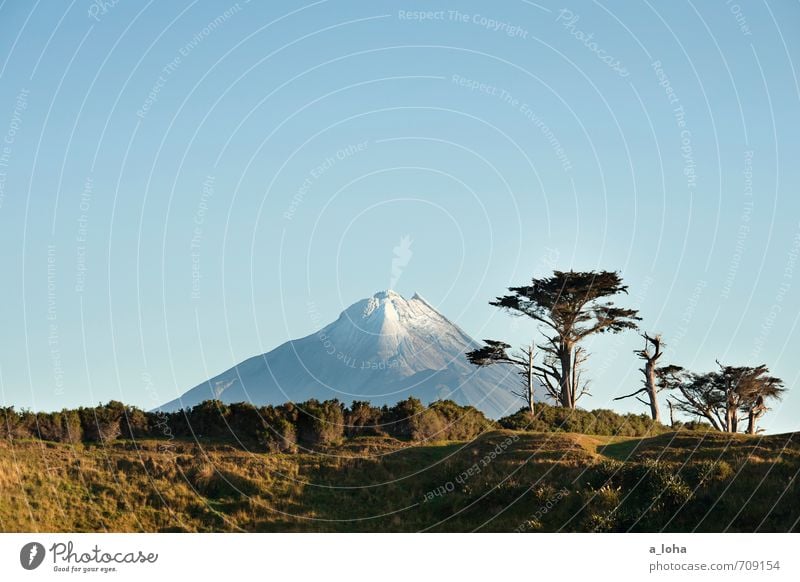 Te Maunga o Taranaki IV Umwelt Natur Landschaft Pflanze Urelemente Wolkenloser Himmel Horizont Sonnenlicht Sommer Schönes Wetter Baum Gras Sträucher