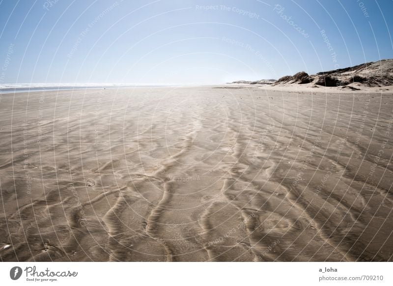 daydreams Umwelt Natur Urelemente Sand Luft Wasser Wolkenloser Himmel Horizont Sommer Klima Schönes Wetter Wellen Küste Strand Meer einfach blau braun Fernweh