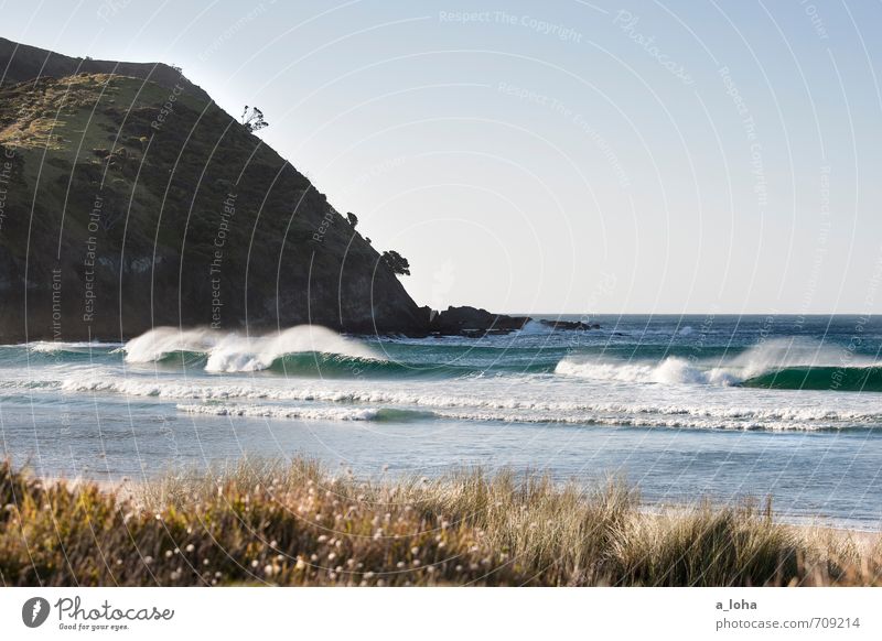 far north Umwelt Natur Landschaft Pflanze Urelemente Wasser Wolkenloser Himmel Horizont Sommer Schönes Wetter Wärme Gras Wellen Küste Strand Meer natürlich blau