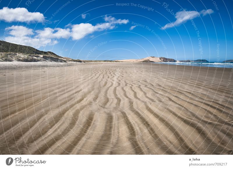 Beautiful Day Umwelt Natur Landschaft Urelemente Sand Wasser Himmel Wolken Horizont Sommer Schönes Wetter Wellen Küste Strand Meer Linie Streifen Fernweh