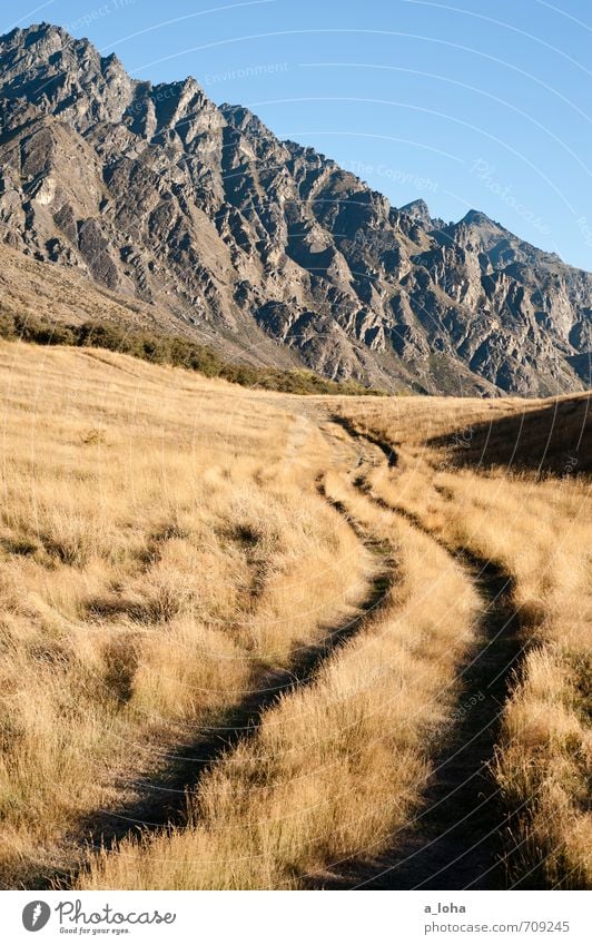 The Remarkables Umwelt Natur Landschaft Urelemente Erde Himmel Wolkenloser Himmel Sommer Schönes Wetter Gras Felsen Berge u. Gebirge Gipfel Wege & Pfade blau