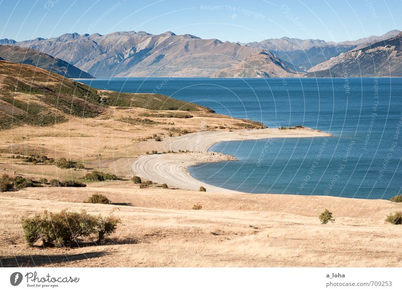 Heartshaped Umwelt Natur Landschaft Urelemente Schönes Wetter Dürre Pflanze Baum Gras Sträucher Alpen Berge u. Gebirge Gipfel Küste Seeufer Strand Bucht blau