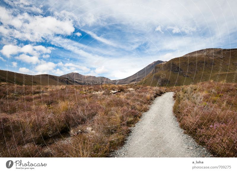 Auf nach Mordor* Umwelt Natur Landschaft Pflanze Urelemente Erde Himmel Wolken Horizont Herbst Schönes Wetter Blume Gras Sträucher Moos Berge u. Gebirge Gipfel