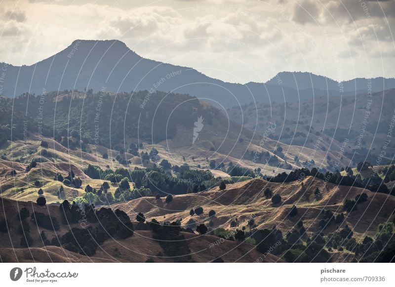 Erster Berg Natur Landschaft Hügel Felsen Berge u. Gebirge Vulkan eckig exotisch Abenteuer Ferien & Urlaub & Reisen Neuseeland Farbfoto Außenaufnahme Dämmerung