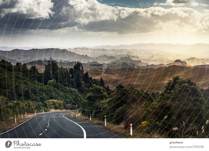 Bikers Dream Natur Landschaft Horizont Sonnenaufgang Sonnenuntergang Schönes Wetter Sträucher Hügel Straße außergewöhnlich Unendlichkeit schön Abenteuer