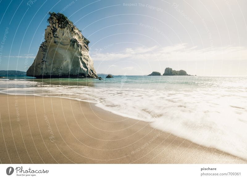 Cathedral Cove Landschaft Sand Wasser Himmel Schönes Wetter Felsen Küste Strand exotisch schön Abenteuer Ferien & Urlaub & Reisen Neuseeland Farbfoto