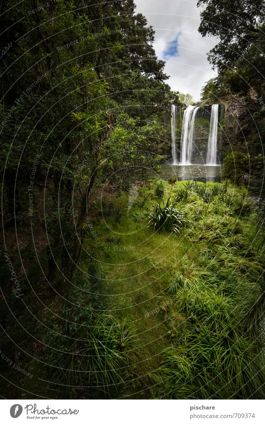 Wasserfall Natur Landschaft Pflanze exotisch schön grün Abenteuer Ferien & Urlaub & Reisen Neuseeland Farbfoto Außenaufnahme Tag Starke Tiefenschärfe Weitwinkel