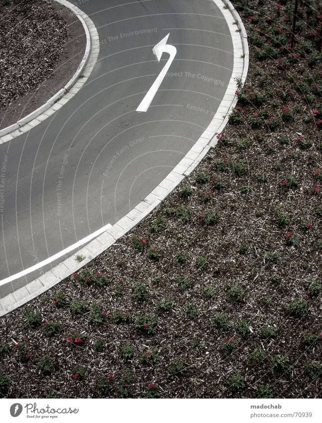 TURN ON...| strasse pfeile verkehr markierung muster kurve Asphalt abbiegen Verkehr links Blume Natur grau unten Fußgänger trist Muster Hintergrundbild