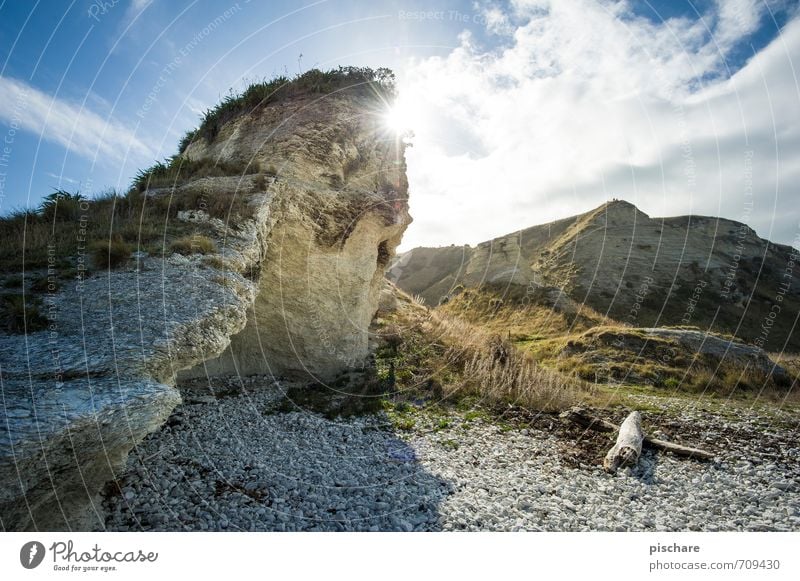 Sonne Natur Landschaft Sonnenlicht Schönes Wetter Felsen Küste natürlich schön Kaikoura Neuseeland Farbfoto Außenaufnahme Tag Licht Gegenlicht