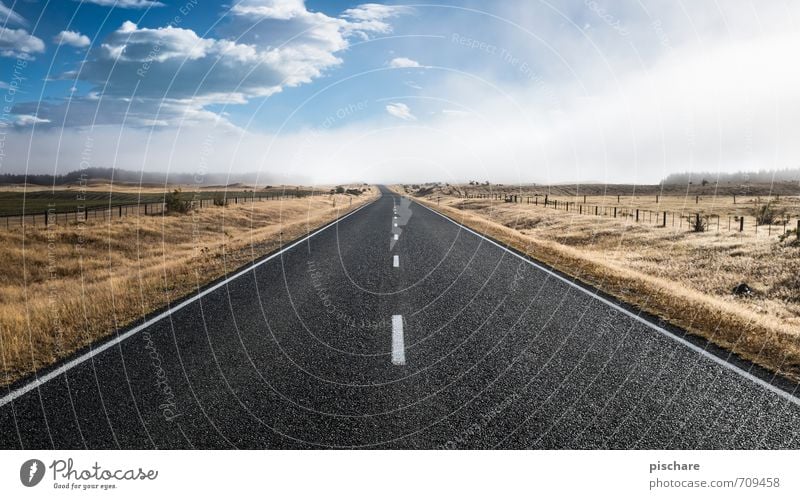 Südwärts Landschaft Schönes Wetter Nebel Straße Unendlichkeit Neuseeland Farbfoto Außenaufnahme Tag Starke Tiefenschärfe Weitwinkel