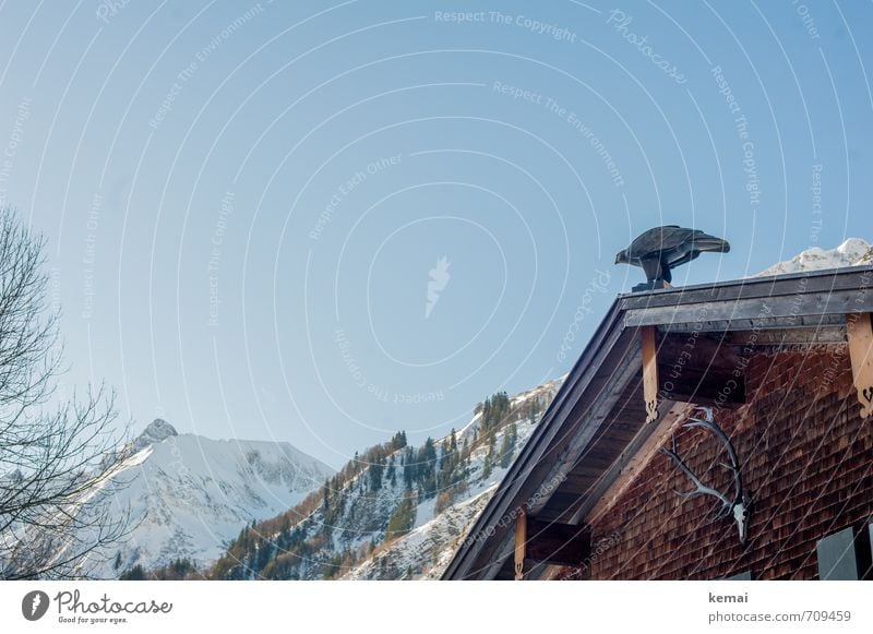 Haustiere Landschaft Himmel Wolkenloser Himmel Winter Schönes Wetter Eis Frost Schnee Berge u. Gebirge Gipfel Schneebedeckte Gipfel Holzhaus Hütte Hüttenferien