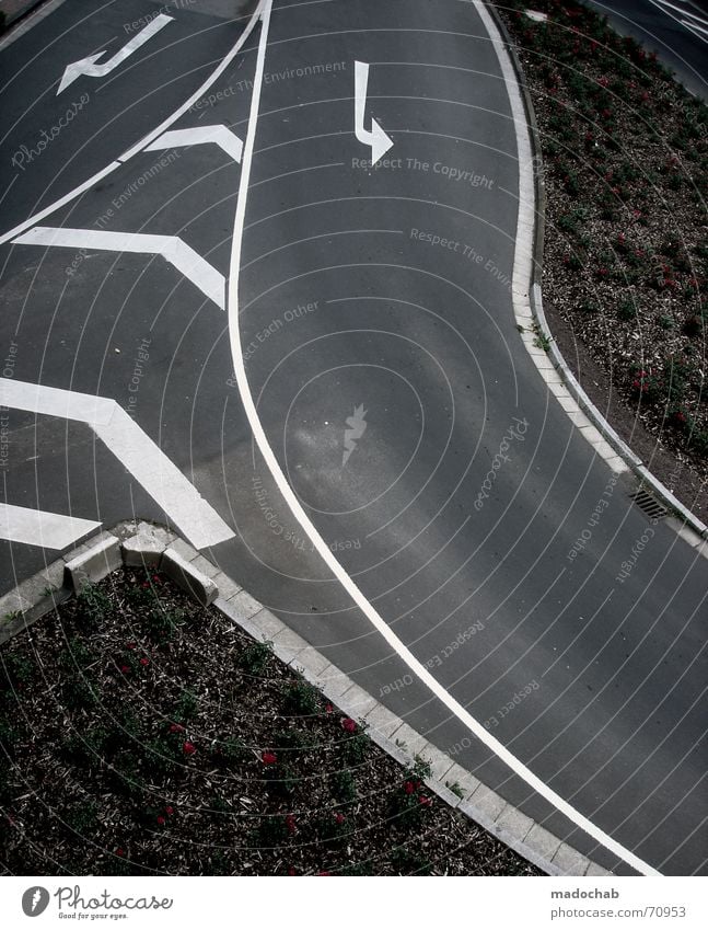 DROP OUT! | strasse pfeile verkehr markierung muster abstrakt Asphalt abbiegen Verkehr links Blume Natur grau unten Fußgänger trist Muster Hintergrundbild