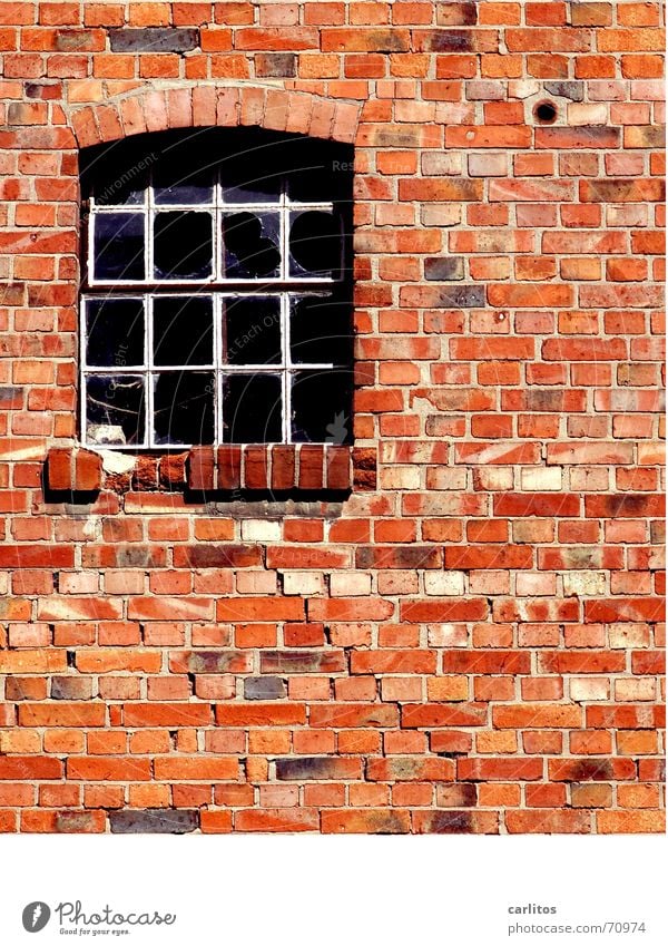 Steinreich Mauer rot Backstein Fuge Fenster Handwerk Verfall klinkerwand stichbogen gussfenster metallfenster Glas glasbruch stallfenster Handarbeit Renovieren