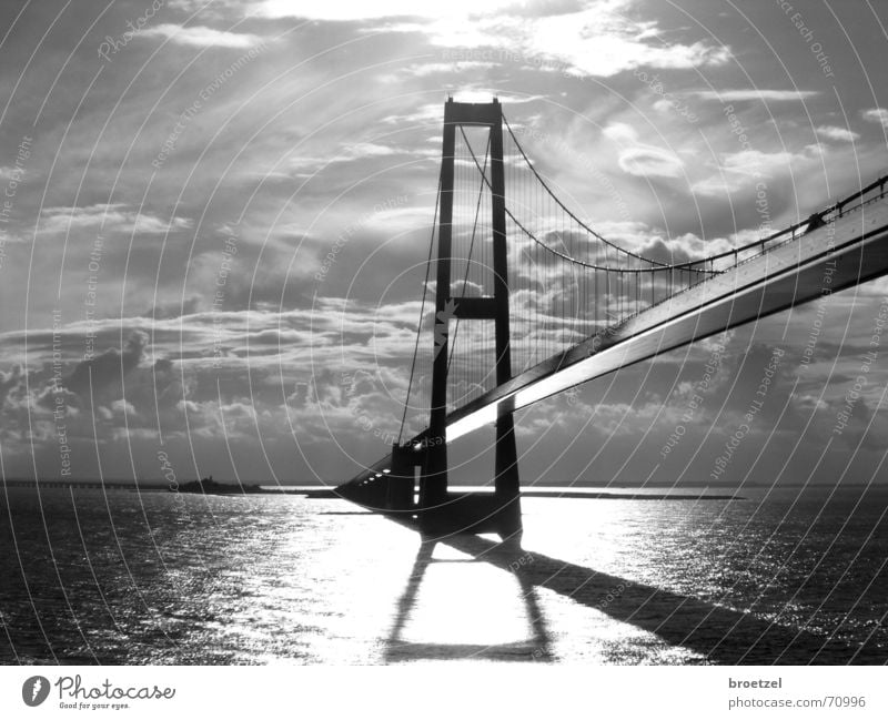 Storebaelt Meer Wasser Himmel Wolken Ostsee Brücke Architektur fahren Hängebrücke Großer Belt Schwarzweißfoto Gegenlicht