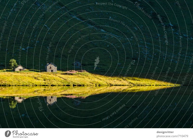 Unterwelt Sonne Sonnenaufgang Sonnenuntergang Schönes Wetter Gras Alpen Berge u. Gebirge Seeufer Bucht Gebirgssee Schweiz Europa Dorf Haus Hütte Berghütte